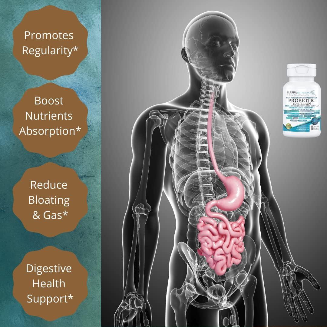 Probiotico Kappa Nutrition 60 Mil Millones CFU 14 en 1 60 Capsulas