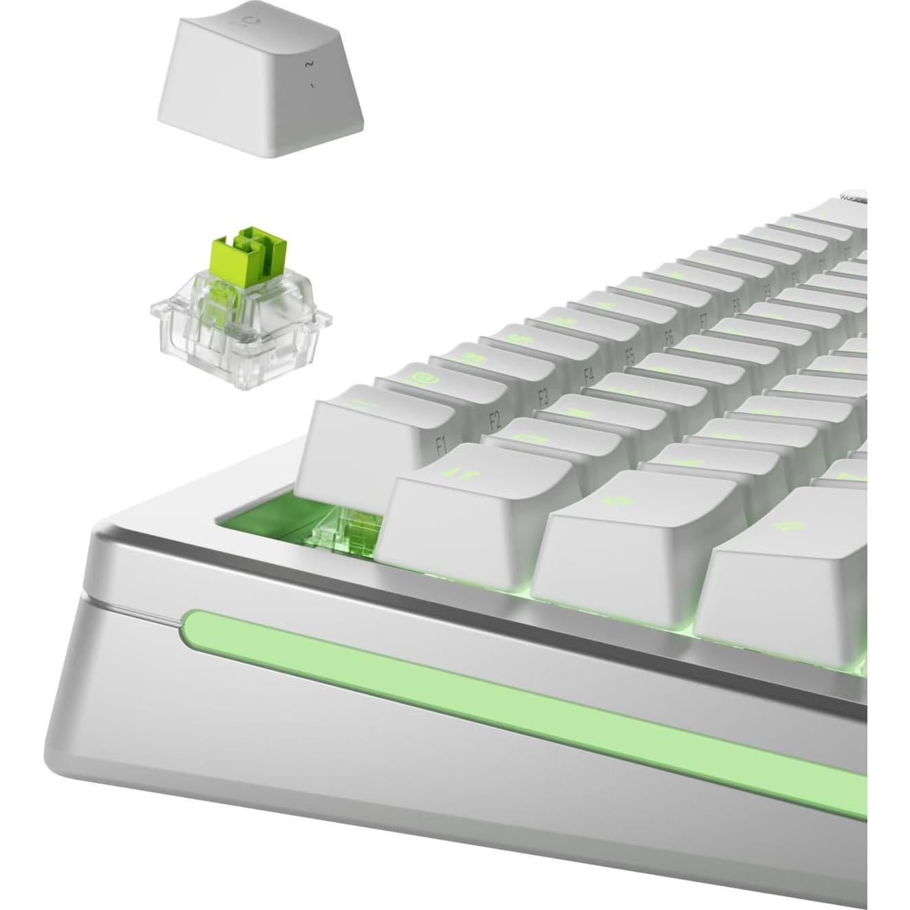 Interruptores Clicky Raptor Glorious 36 PCS para Teclados