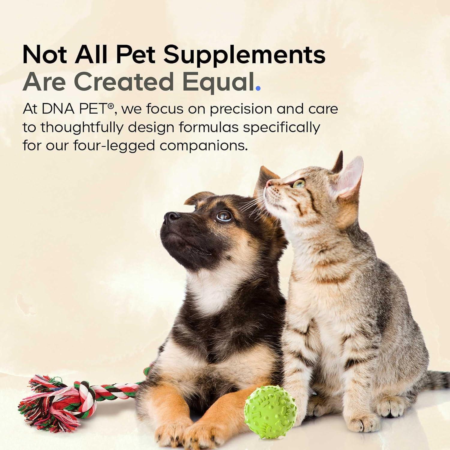 Suplemento en polvo de caldo de hueso de res DNA PET 90g