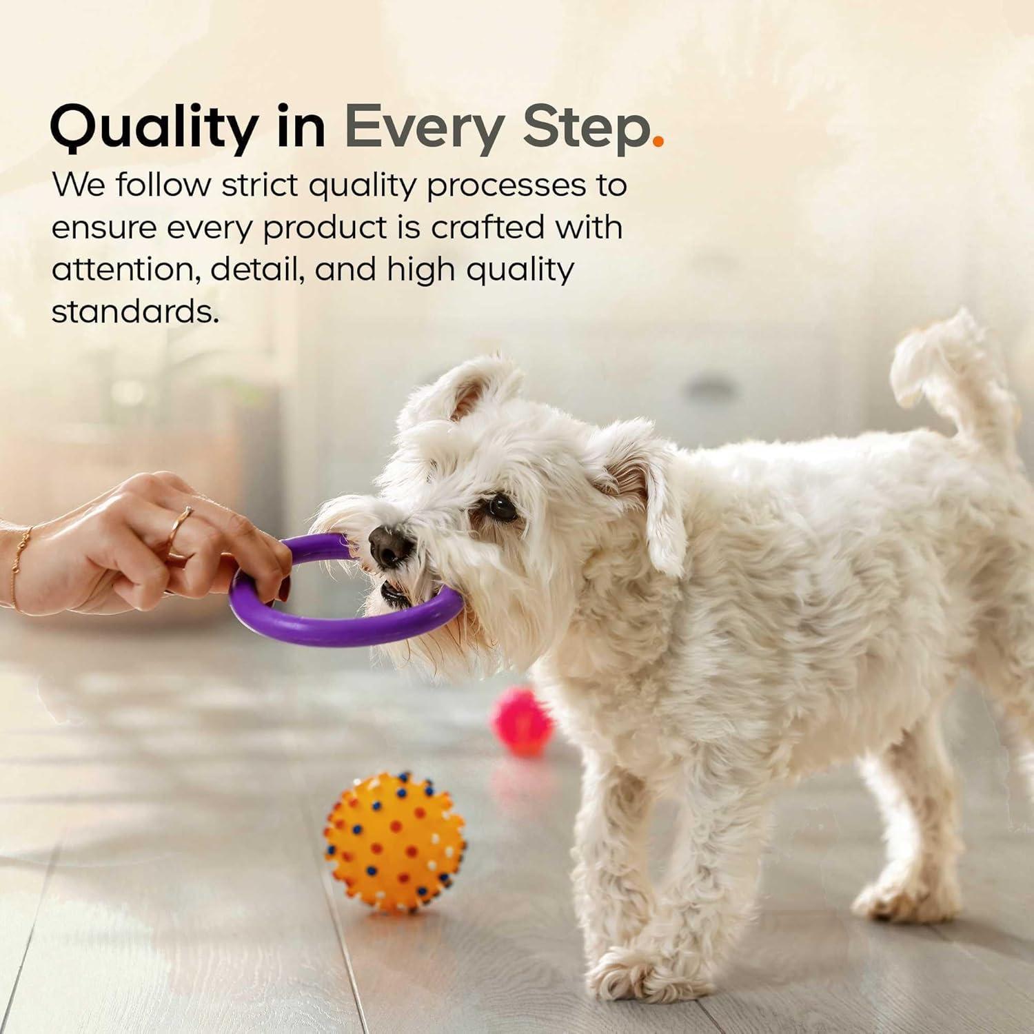 Suplemento en polvo de caldo de hueso de res DNA PET 90g