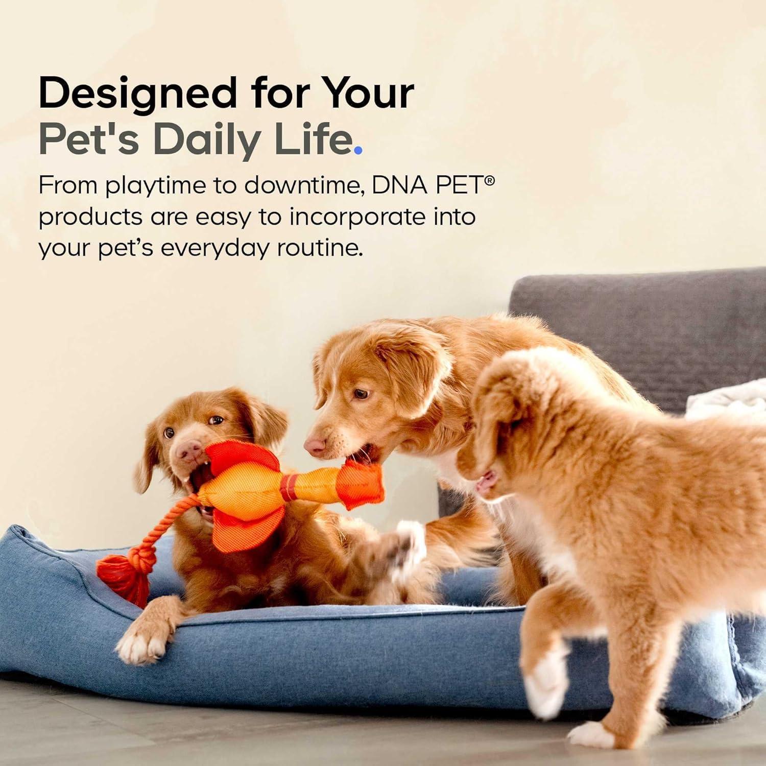 Suplemento en polvo de caldo de hueso de res DNA PET 90g