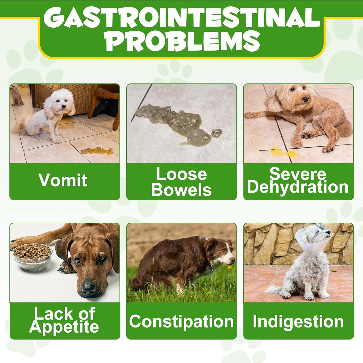 Polvo Probiotico para Perros BOTAI - 120 Cucharadas Digestivas