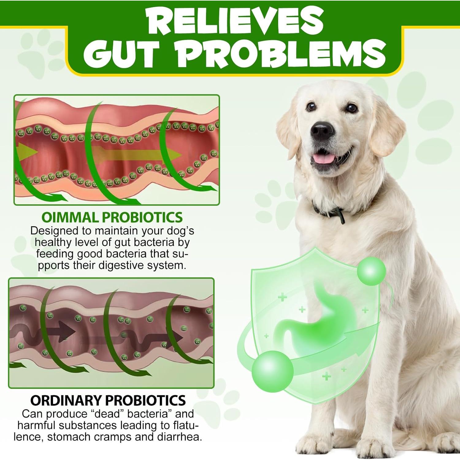 Polvo Probiotico para Perros BOTAI - 120 Cucharadas Digestivas