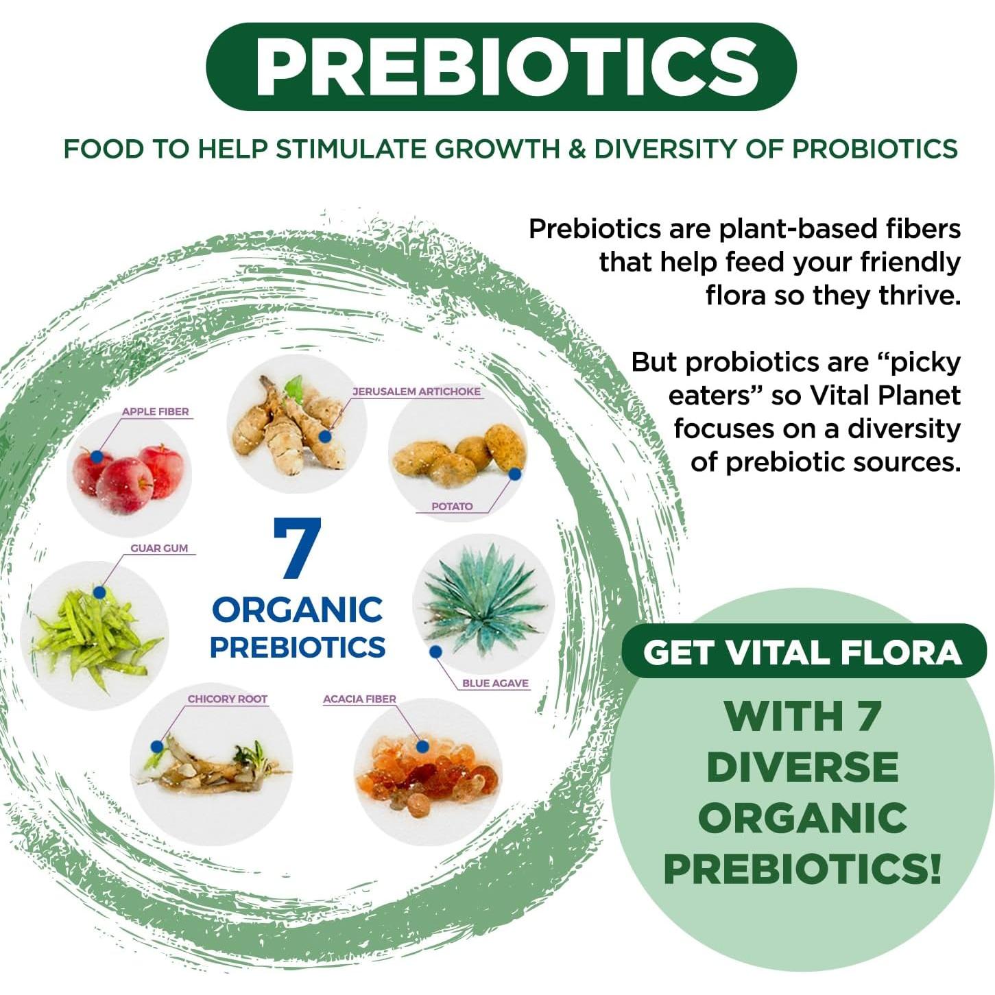 Probiotico Flora Vital Adulto 55+ 60 Mil Millones CFU 60 Cápsulas