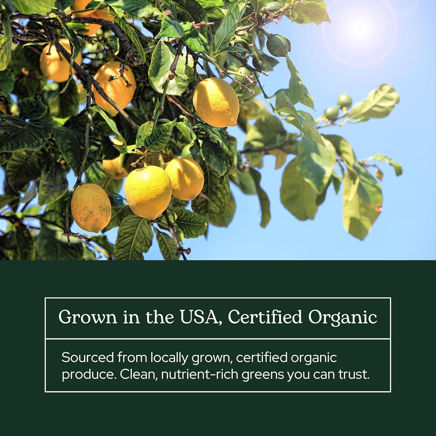 Suplemento en Polvo de Verduras Liofilizadas Eclectic Herb 90g