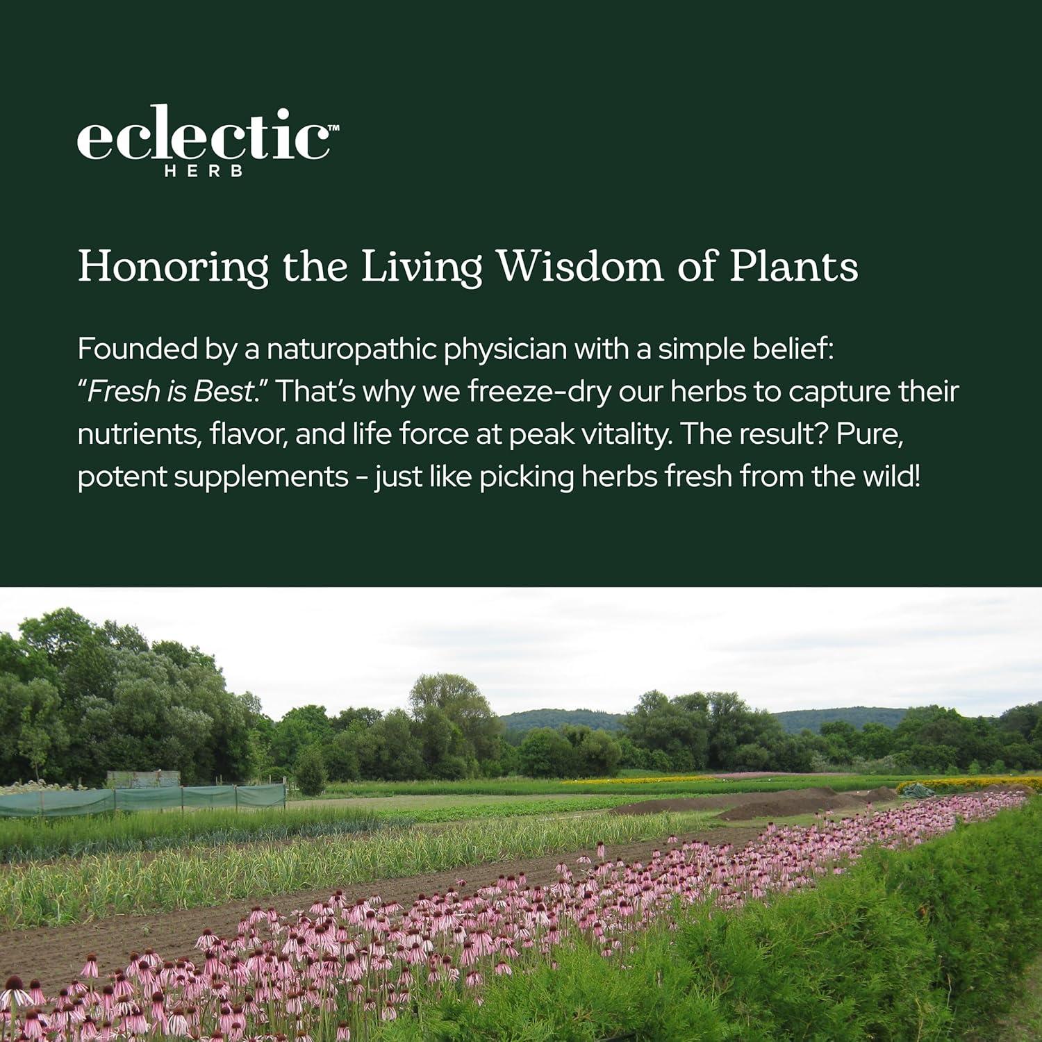 Suplemento en Polvo de Verduras Liofilizadas Eclectic Herb 90g