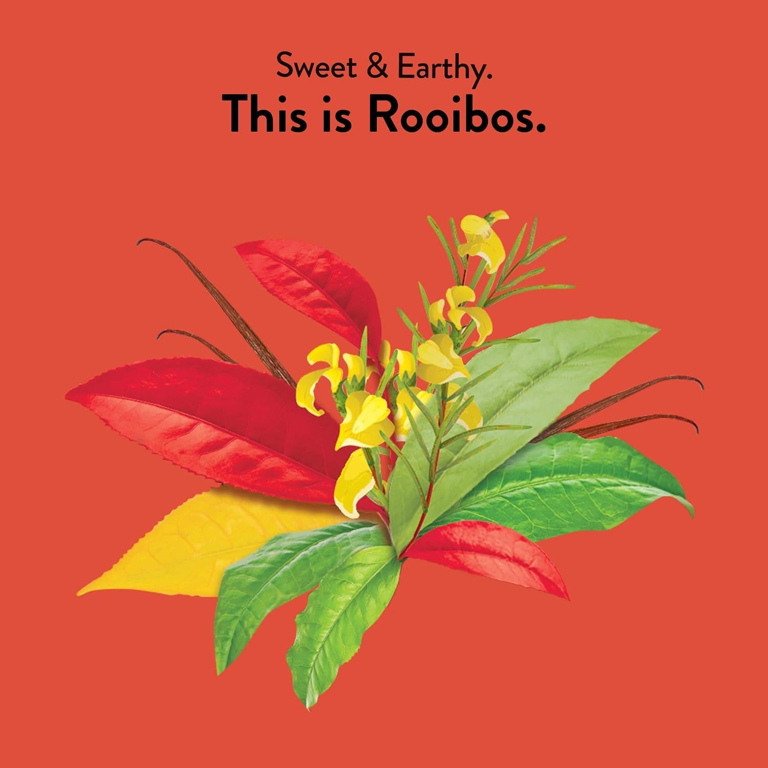 Té Rooibos Orgánico Choice Organics - 96 Bolsitas - Sin Cafeína