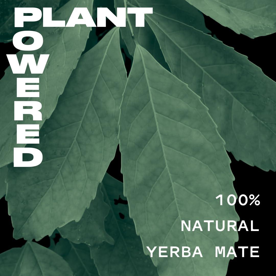 Yate Sparkling Yerba Mate Orgánica - Bebida Energética 12 Latas