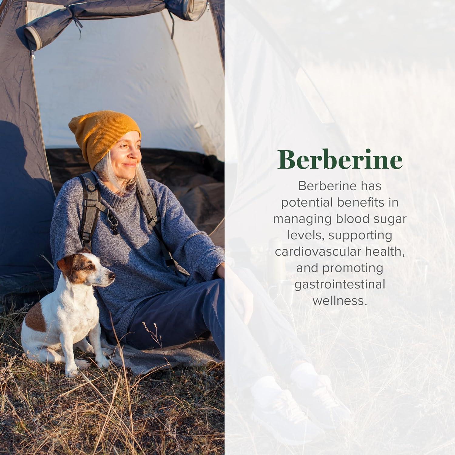 Suplemento de Berberina Orgánica Global Healing 1200 mg - 60 Cápsulas