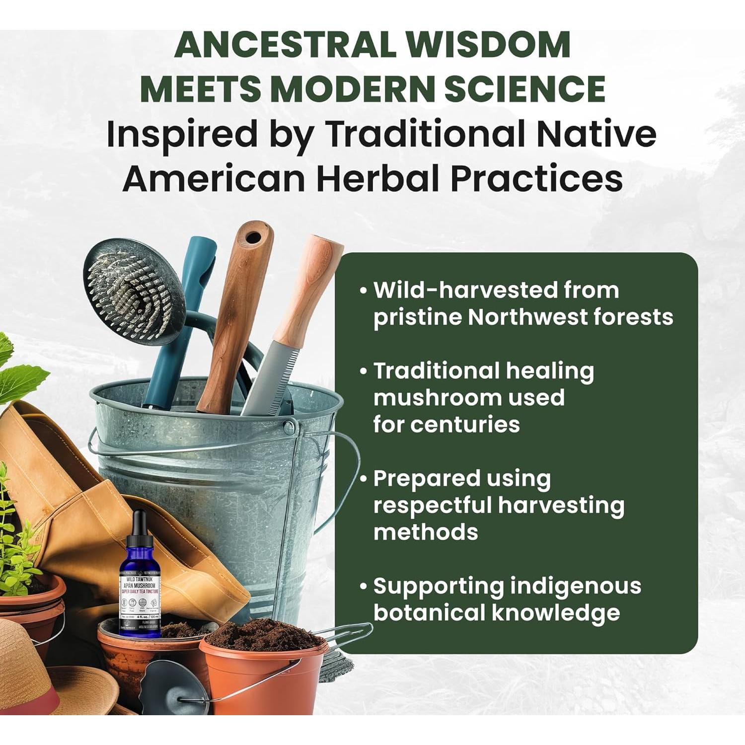 Tintura de Té de Hongos Apán Silvestres Bare Remedy 120ml