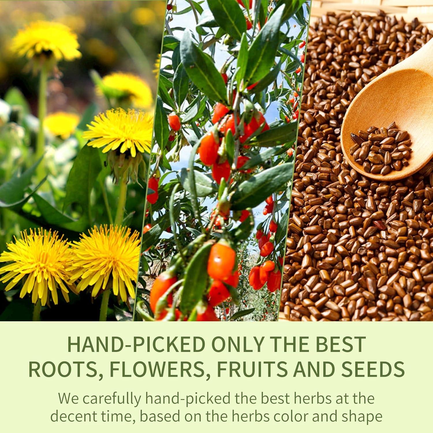 Té de Diente de León y Goji PHOEXXIX 180g - 15 Bolsas