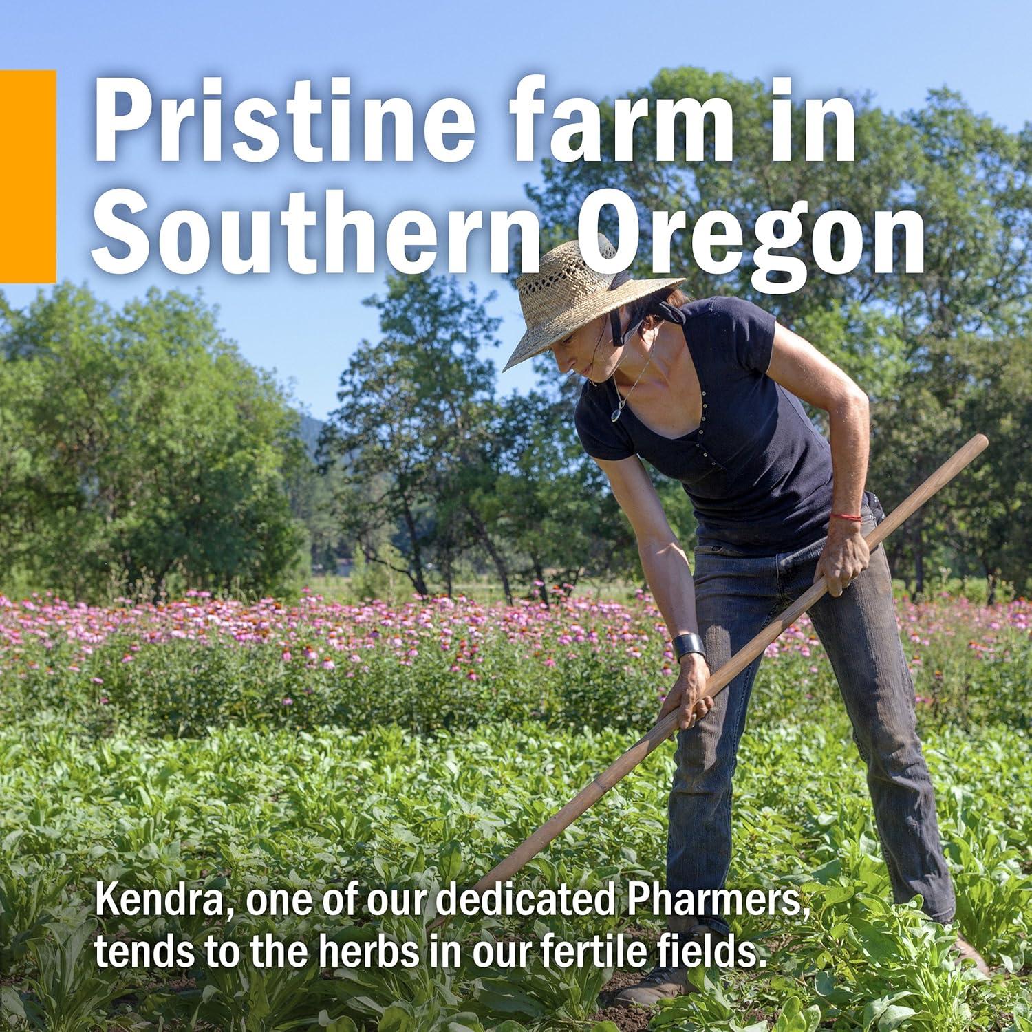 Extracto Líquido de Skullcap Orgánico Herb Pharm 59ml (Paquete de 2)