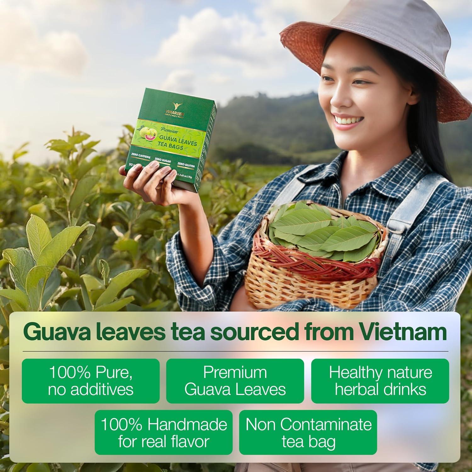 Té de Hojas de Guayaba VINAREEN - 50 Bolsitas - Natural y Vegano