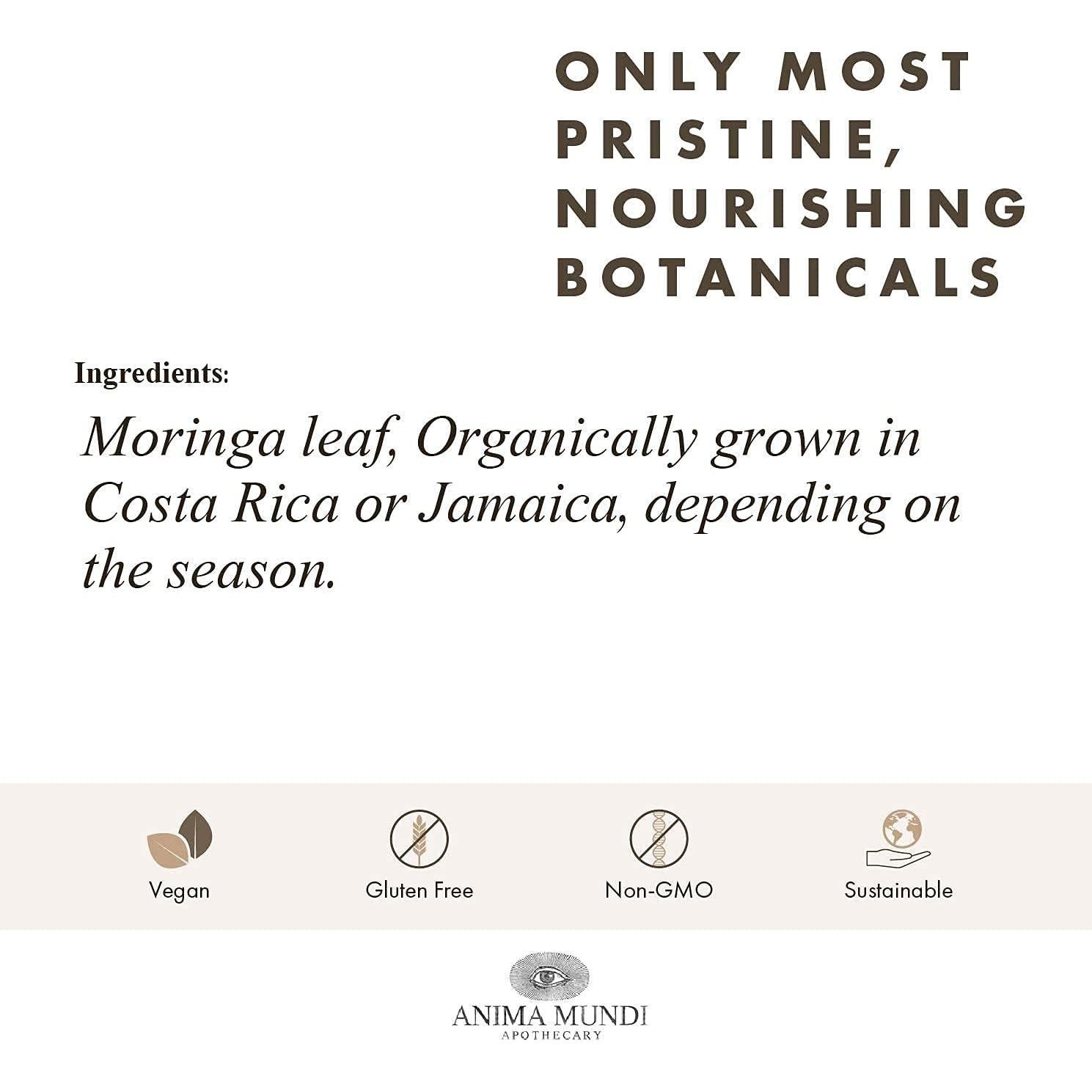 Polvo de Hoja de Moringa Orgánica Anima Mundi 170g - Superalimento