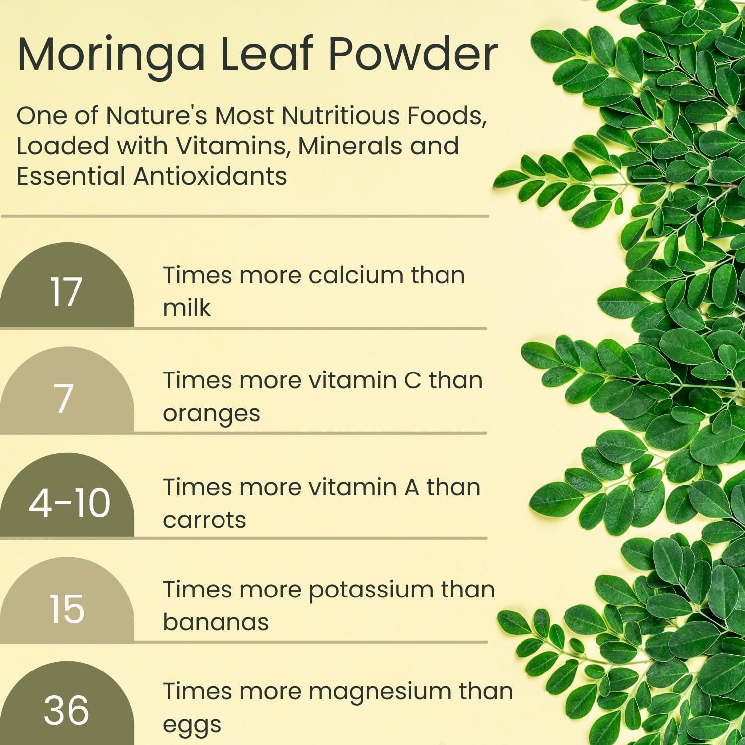 Polvo de Moringa Orgánica Vegs Wellness 226.8 g - Antioxidantes