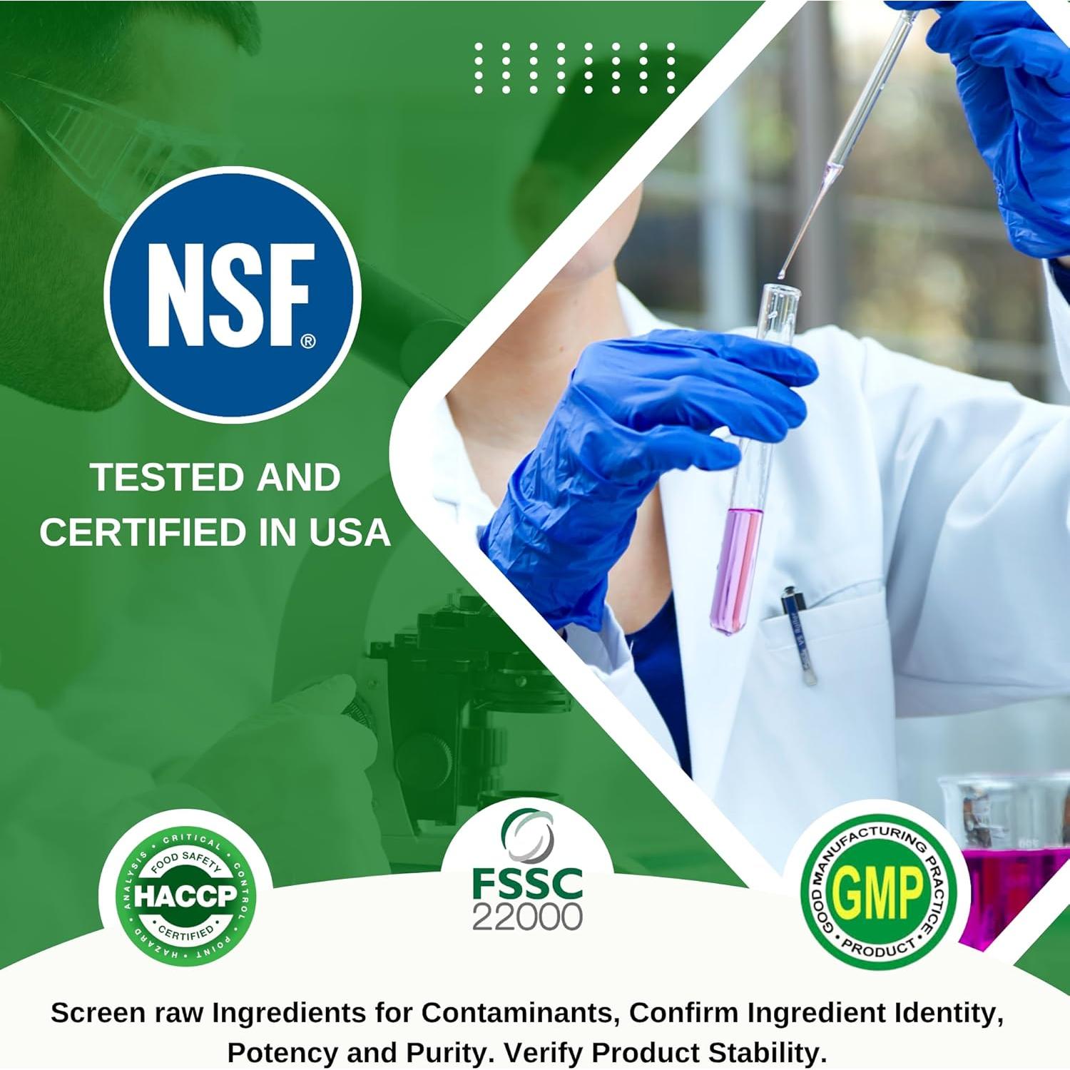 Suplemento de Moringa Oleifera E-Silk Route 60 Cápsulas 500mg