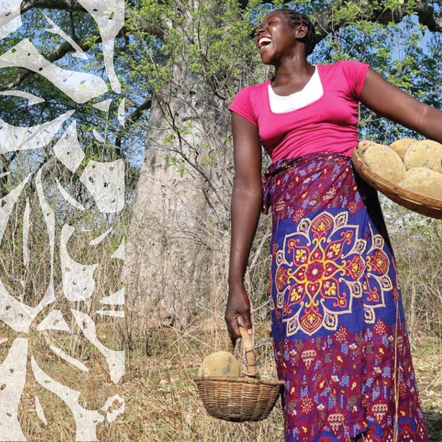 Suplemento de Moringa Orgánica Baoactive 120 Cápsulas