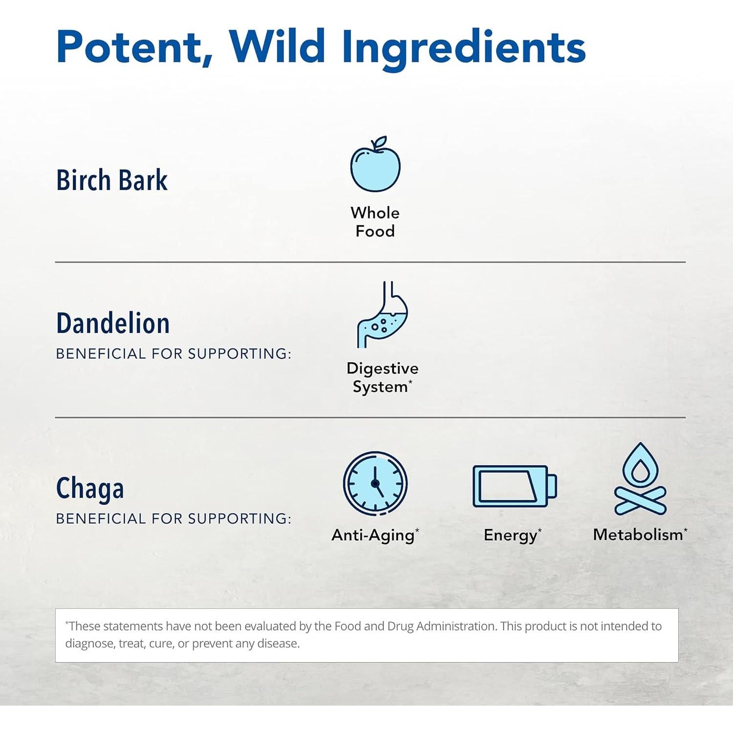 LivaLatte North American Herb - 99.22 g - Bebida Chaga, Maca y Abedul