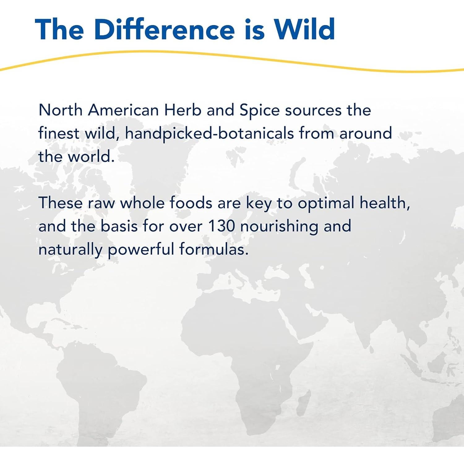 LivaLatte North American Herb - 99.22 g - Bebida Chaga, Maca y Abedul