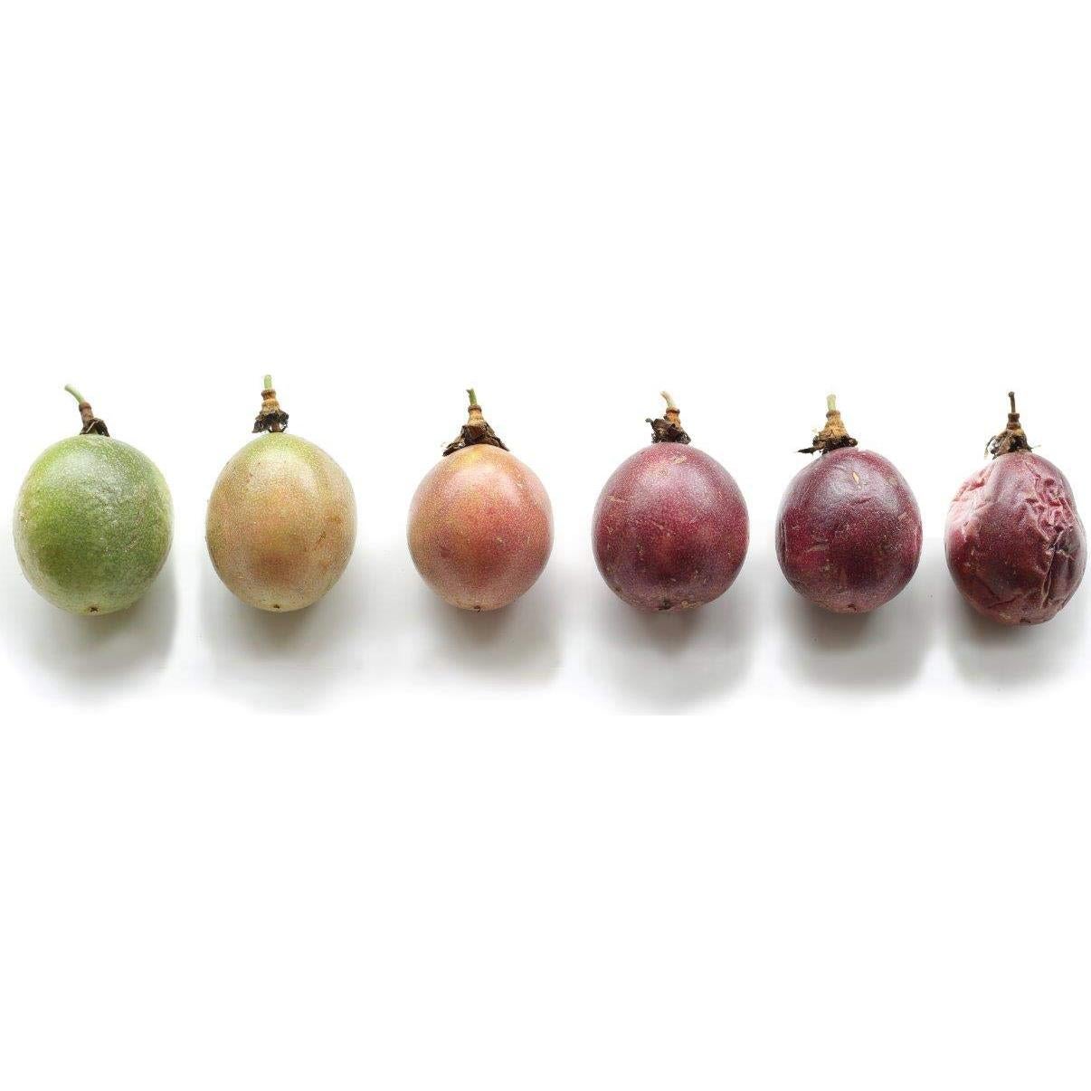 Fruta de la Pasión Seco Wholeberry 226.8 g Natural Sin Aditivos