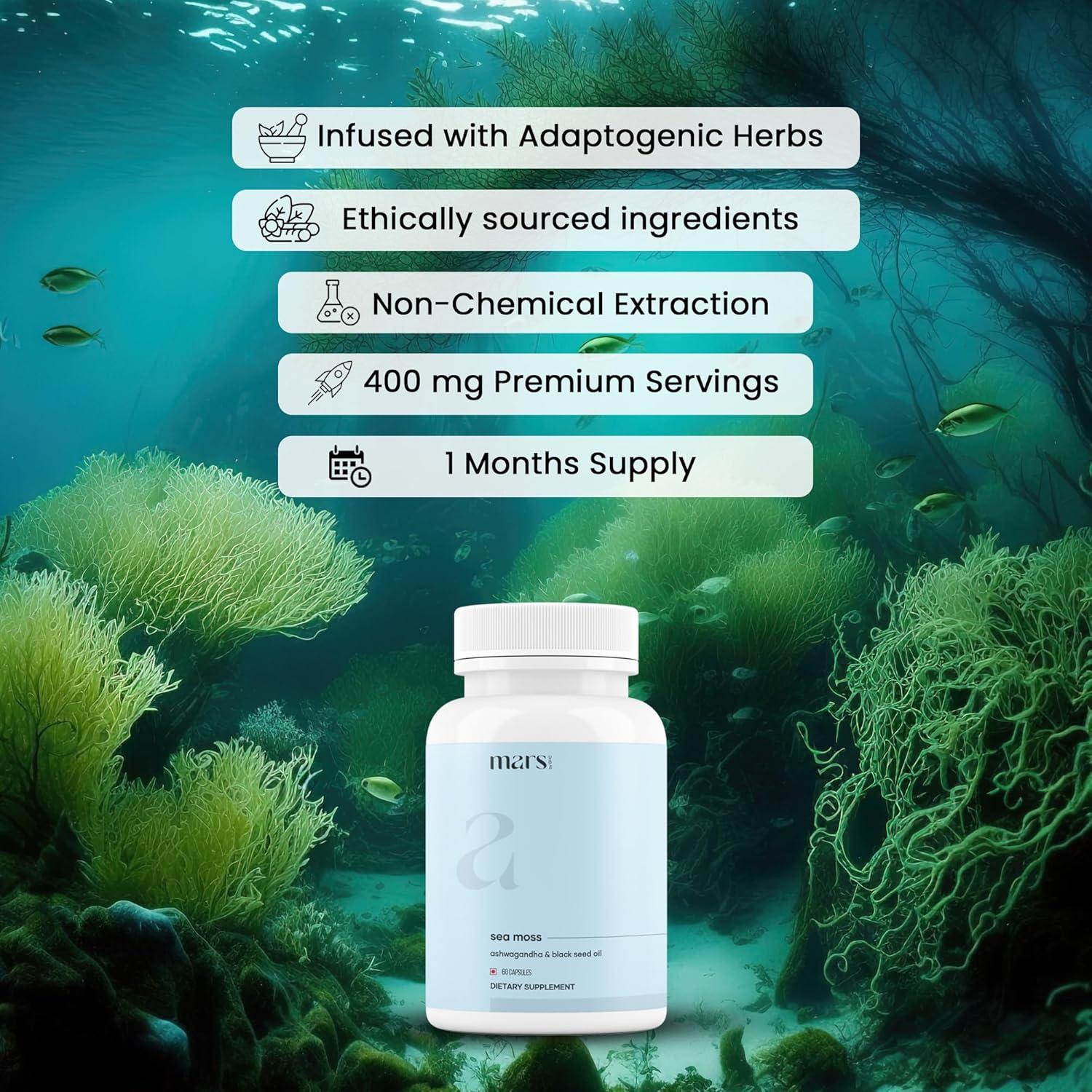 Cápsulas de Musgo Marino Natural Mars by GHC - 60 Unidades