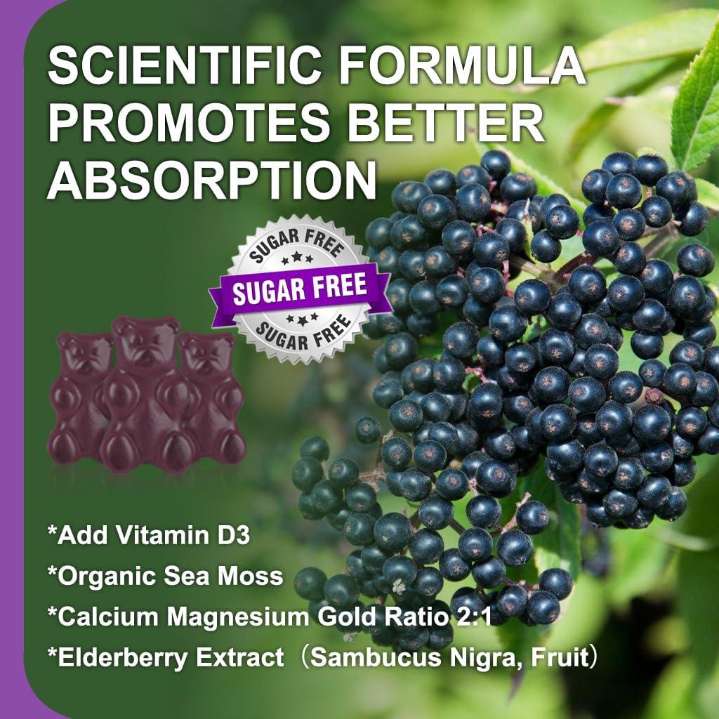 Gomitas de Calcio Magnesio Zinc LUCNVEM 60 Unidades Sin Azúcar