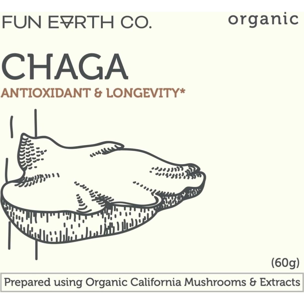 Polvo de Chaga Orgánico Fun Earth Co 60g - Suplemento Inmunológico