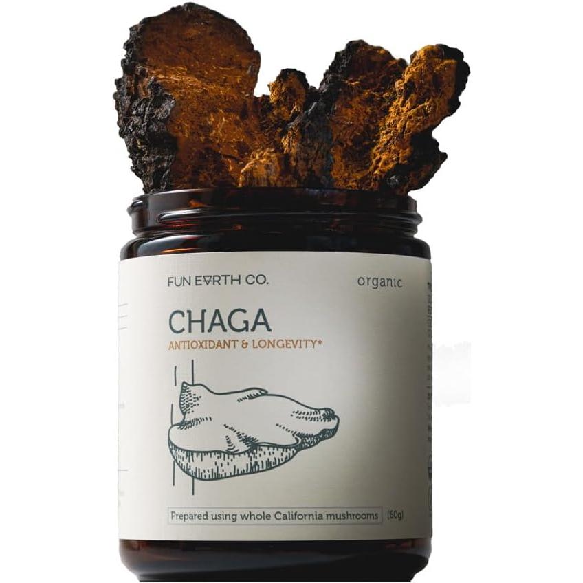 Polvo de Chaga Orgánico Fun Earth Co 60g - Suplemento Inmunológico