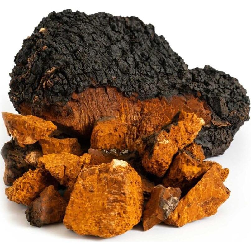Polvo de Chaga Orgánico Fun Earth Co 60g - Suplemento Inmunológico