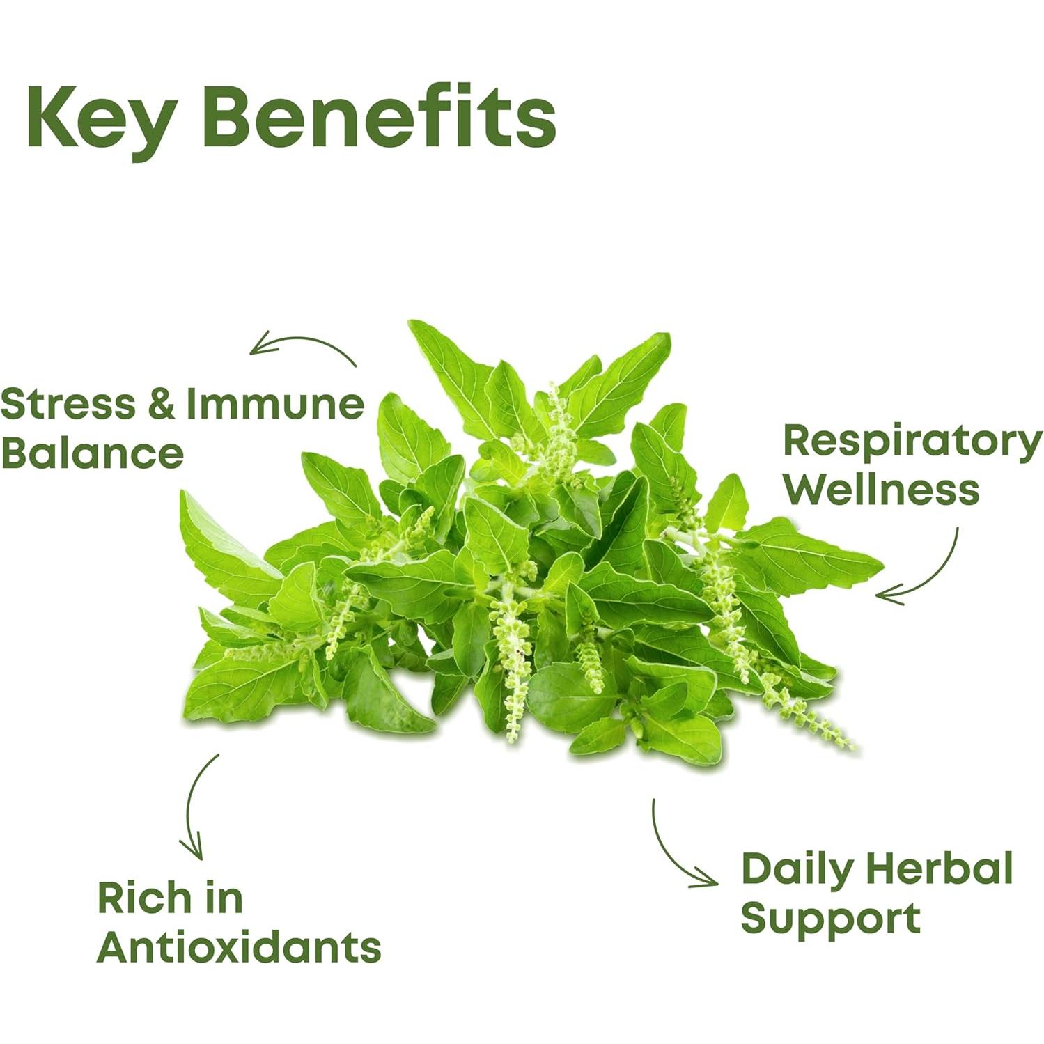 Polvo de Hojas de Tulsi 100% Natural H&C 227g Suplemento