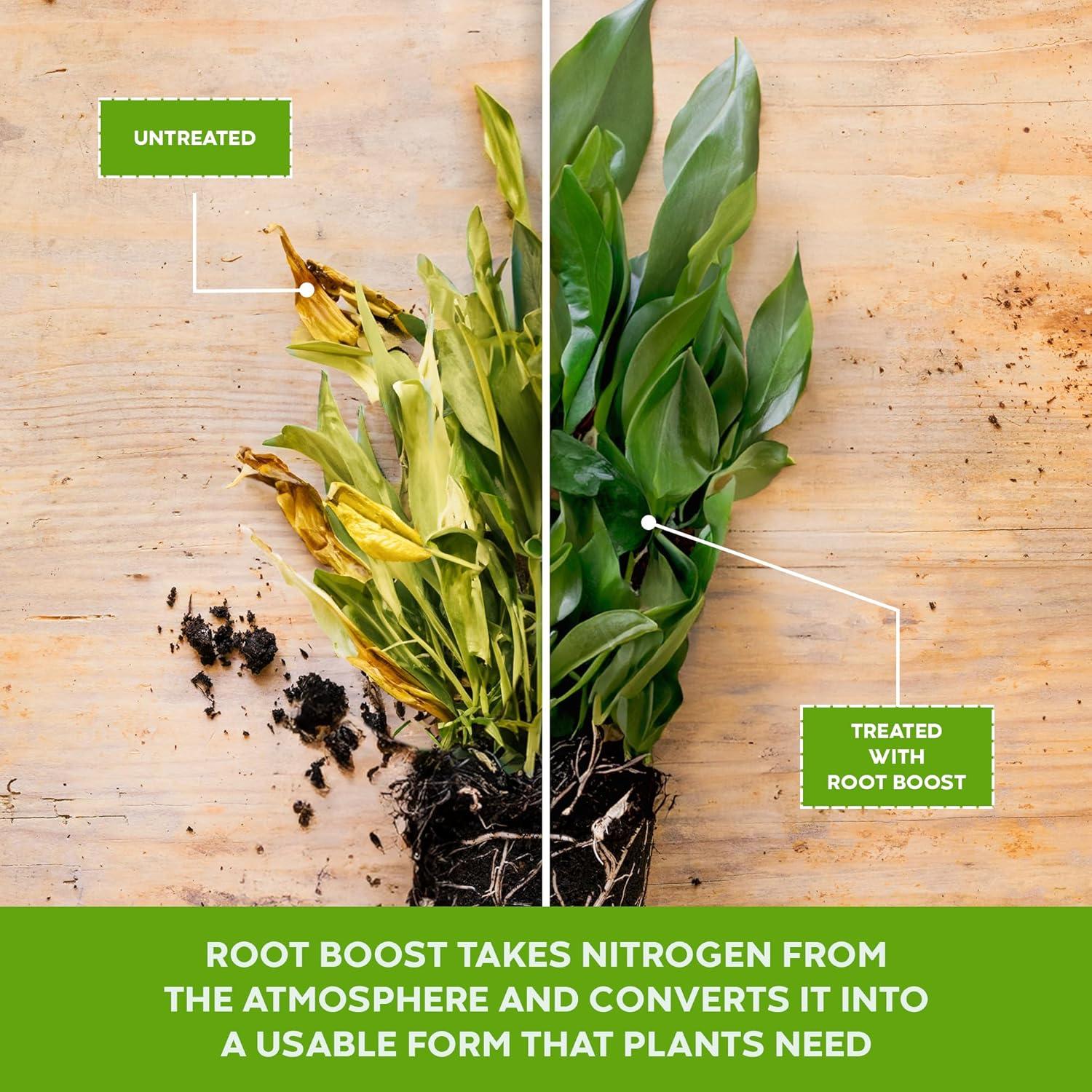 Big Foot Probiotic Root Boost 907g - Aumenta Raíces y Nitrógeno