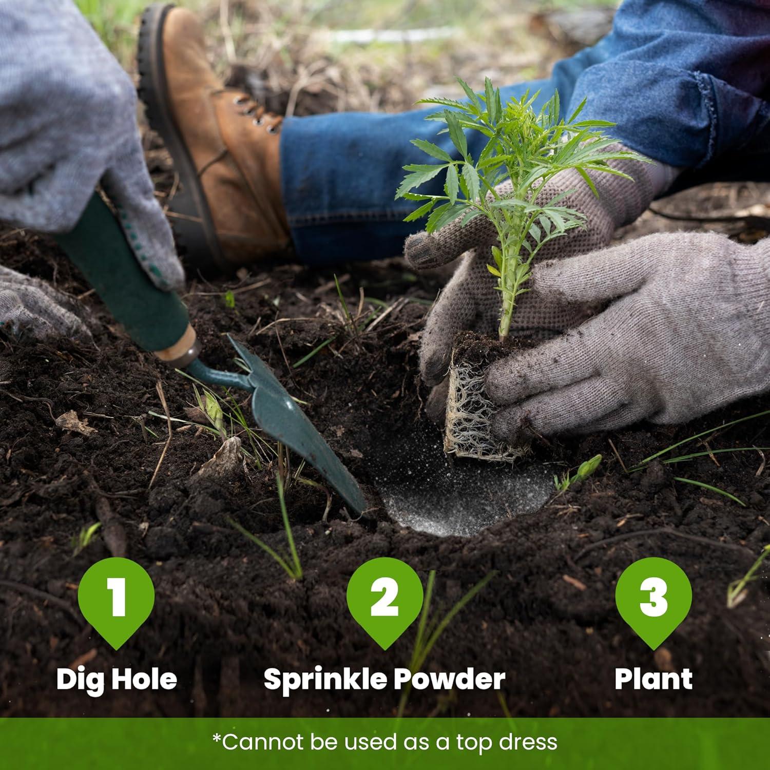 Big Foot Probiotic Root Boost 907g - Aumenta Raíces y Nitrógeno