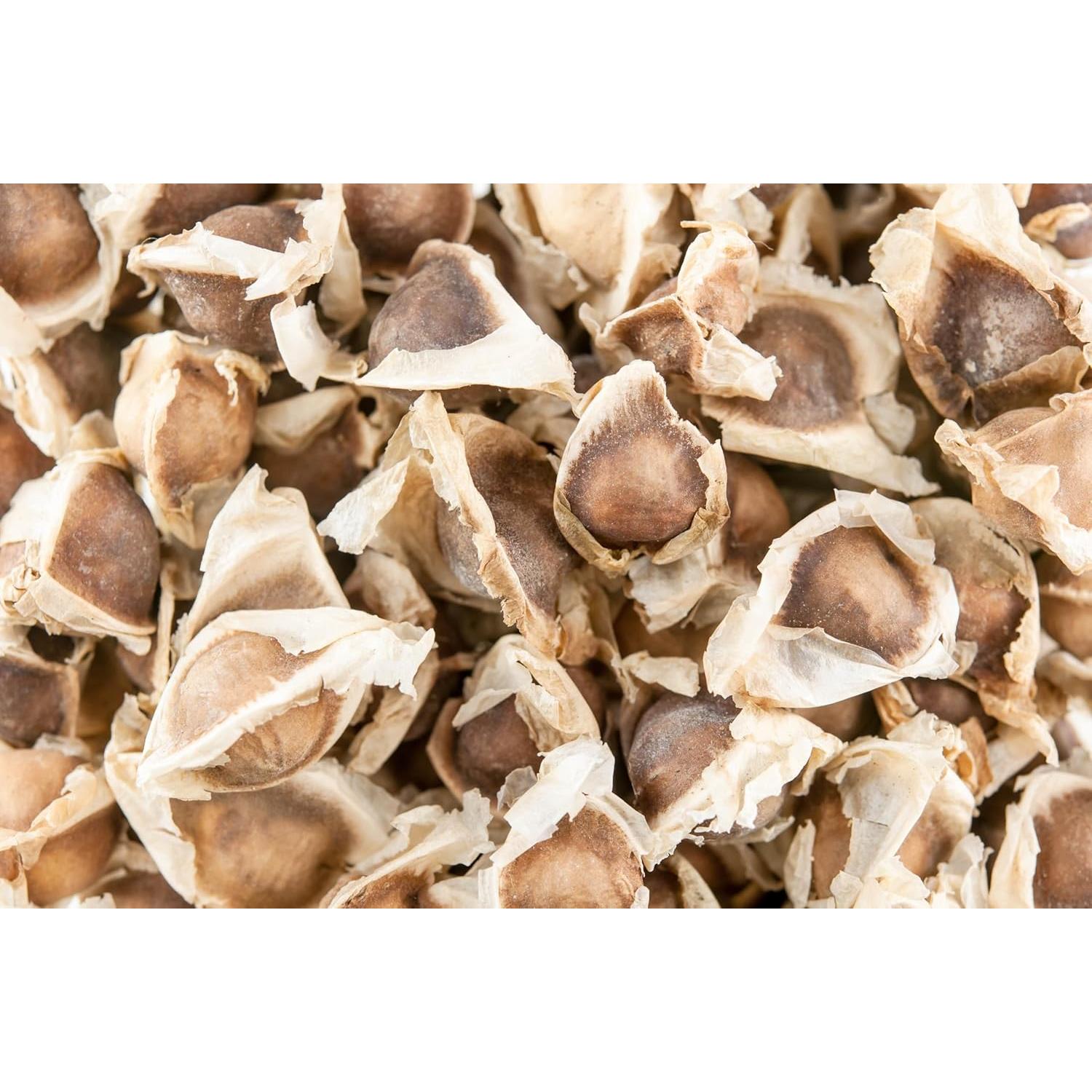 Planta de Moringa Viva Orgánica con Semillas - Genérico