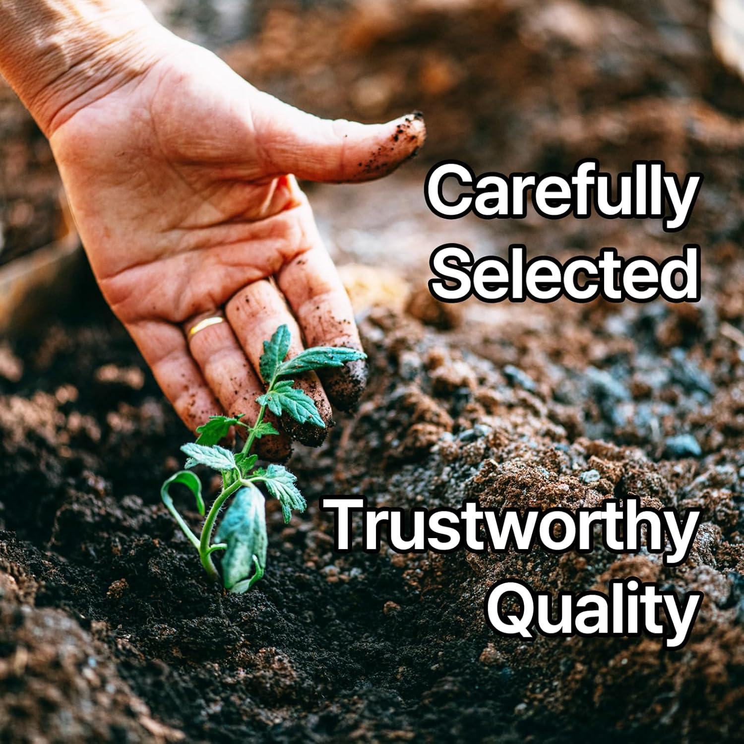 Eleotin Waikiki Vitamina D3 y Calcio Coral Okinawa 120 Cápsulas