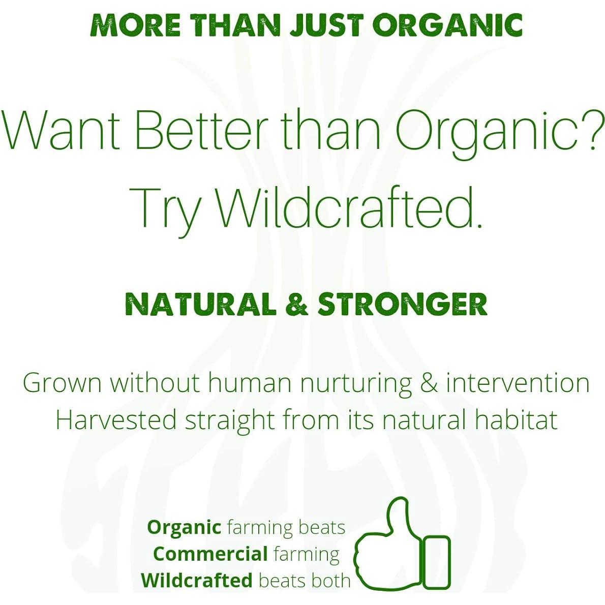 Combo de Tés Detox Speedyvite 3x4oz - Riñón, Sangre, Hígado