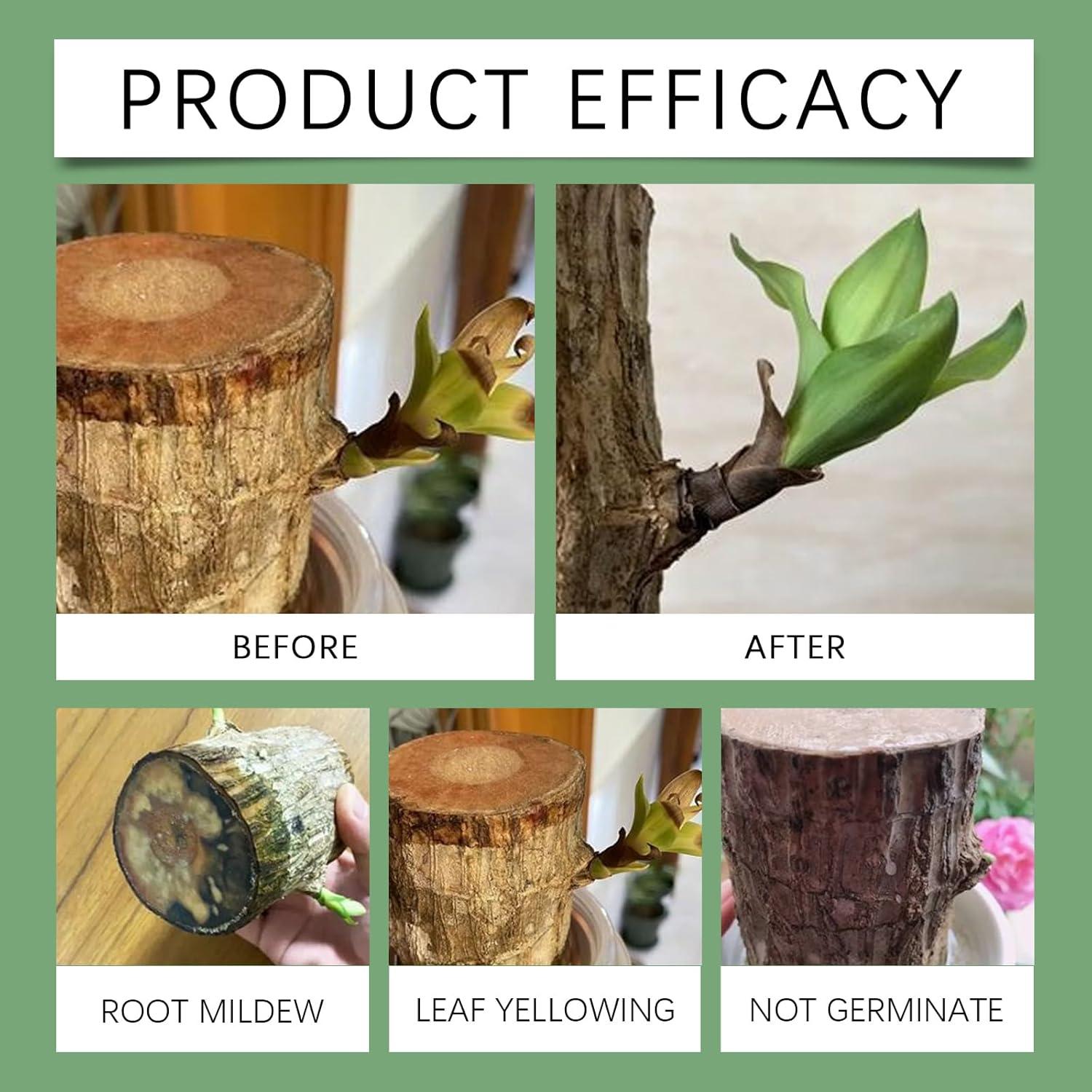 Fertilizante Líquido para Bambú de la Suerte MoonSpry 3x100ml