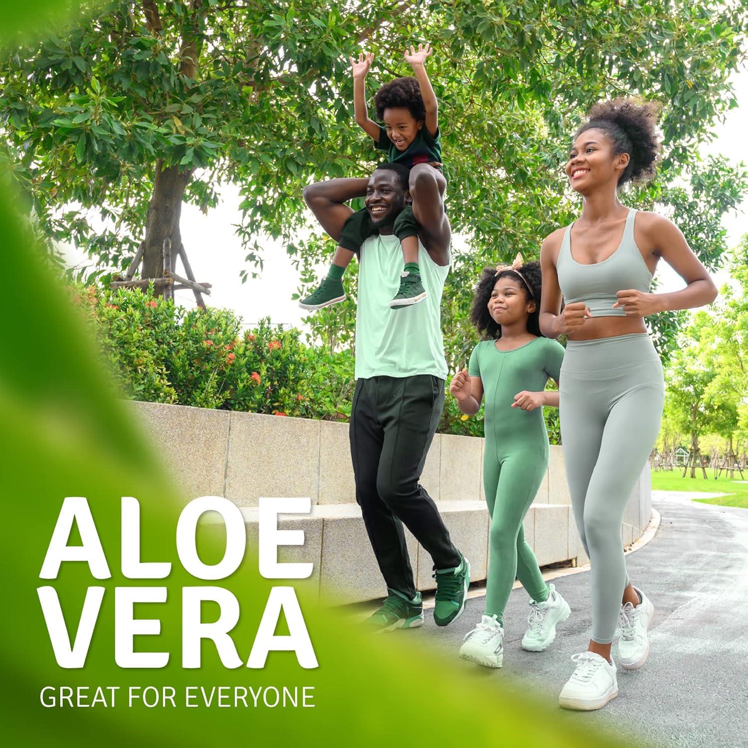 Polvo de Verduras Diarias Aloe Life 30 Porciones Orgánico