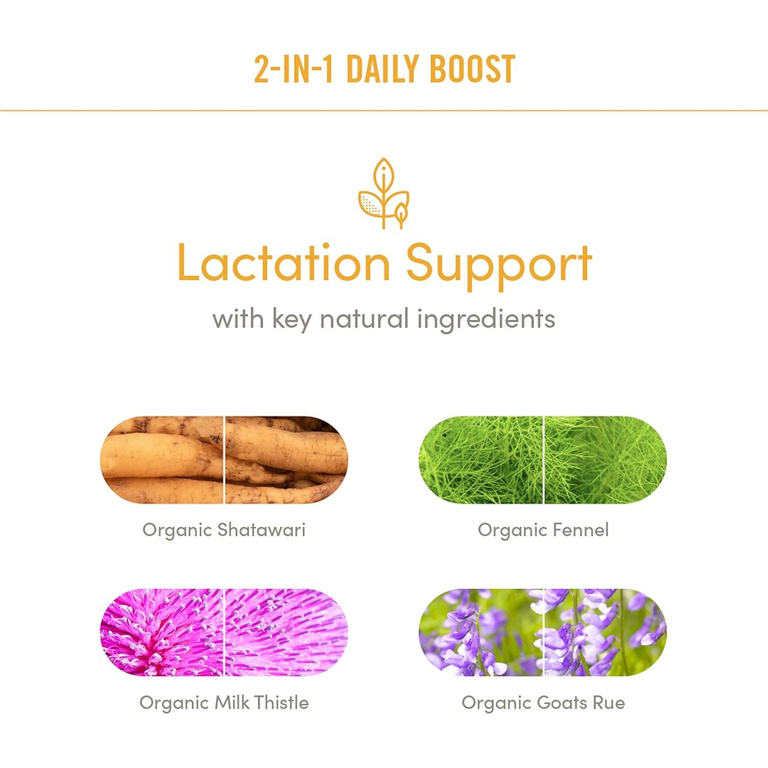 Suplemento de Lactancia Munchkin Milkmakers 60 Cápsulas