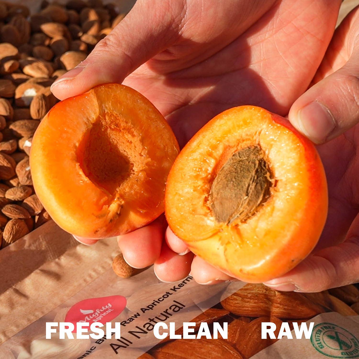 Núcleos de Albaricoque Amargo Orgánico Mighty Apricot 0.45 kg