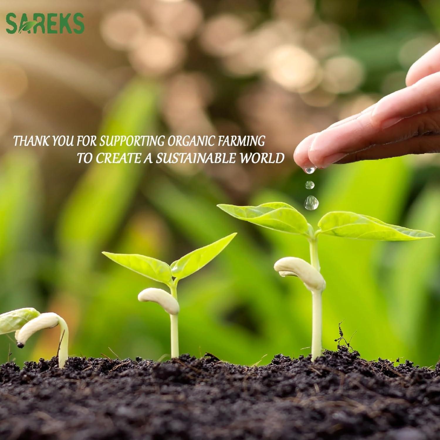 Núcleos de Albaricoque Amargos Orgánicos Mey-San 283.5g