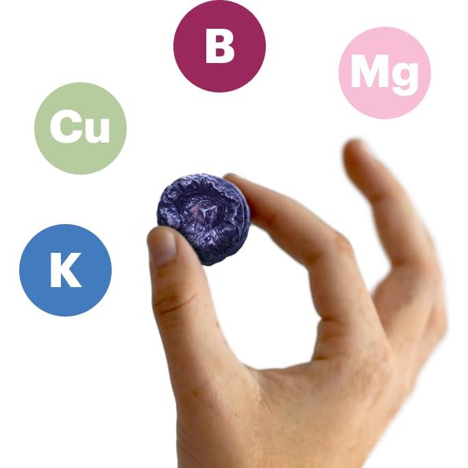 Jugo de Ciruela Sunsweet 2 Botellas de 1 Litro