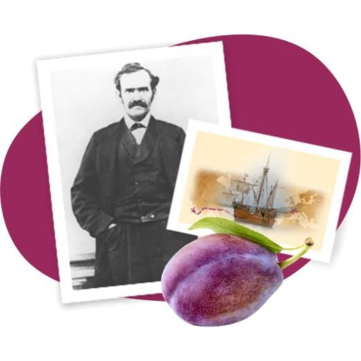 Jugo de Ciruela Sunsweet 2 Botellas de 1 Litro