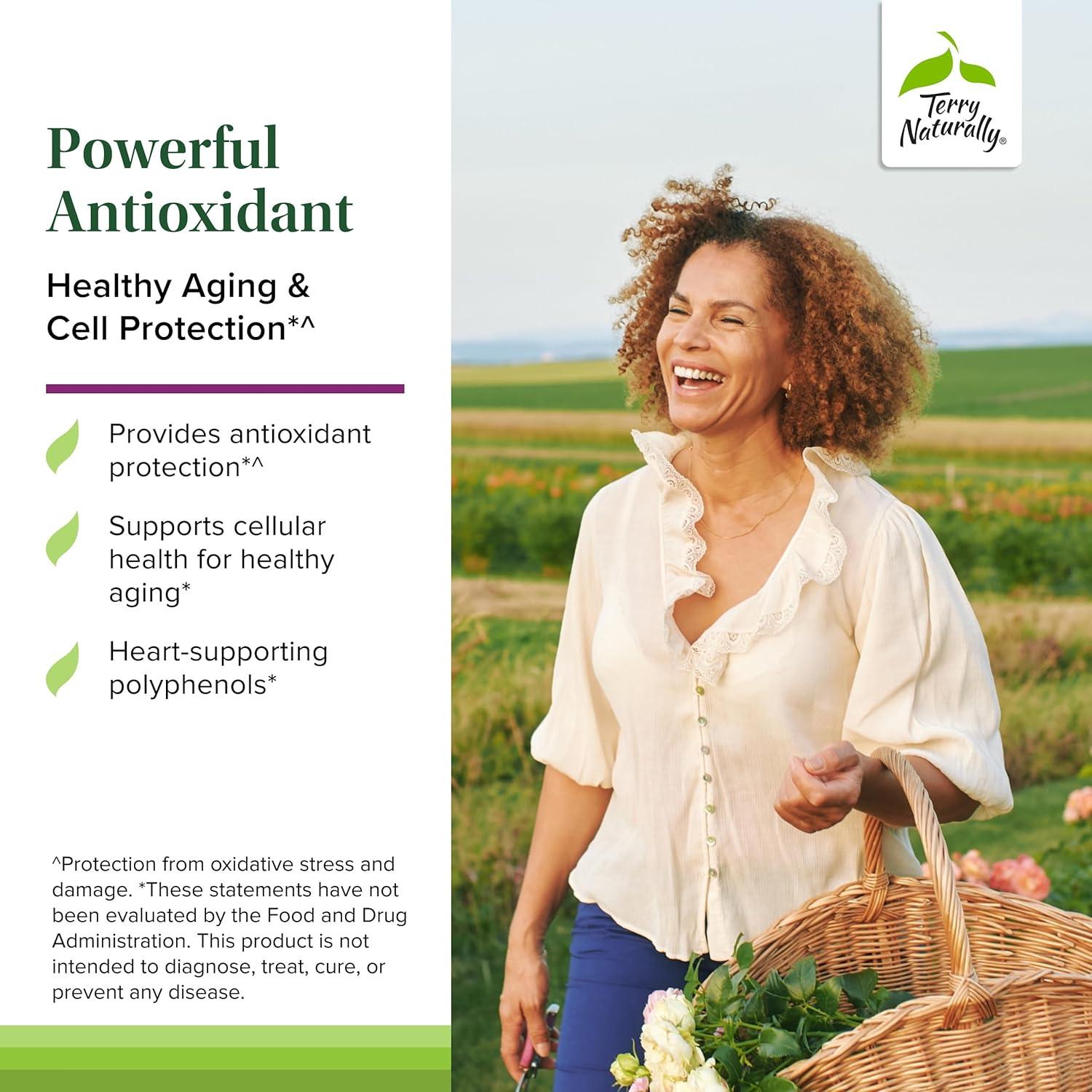 Terry Naturally Aronia Berry 300 - Suplemento Antioxidante Vegano - 30 Cápsulas