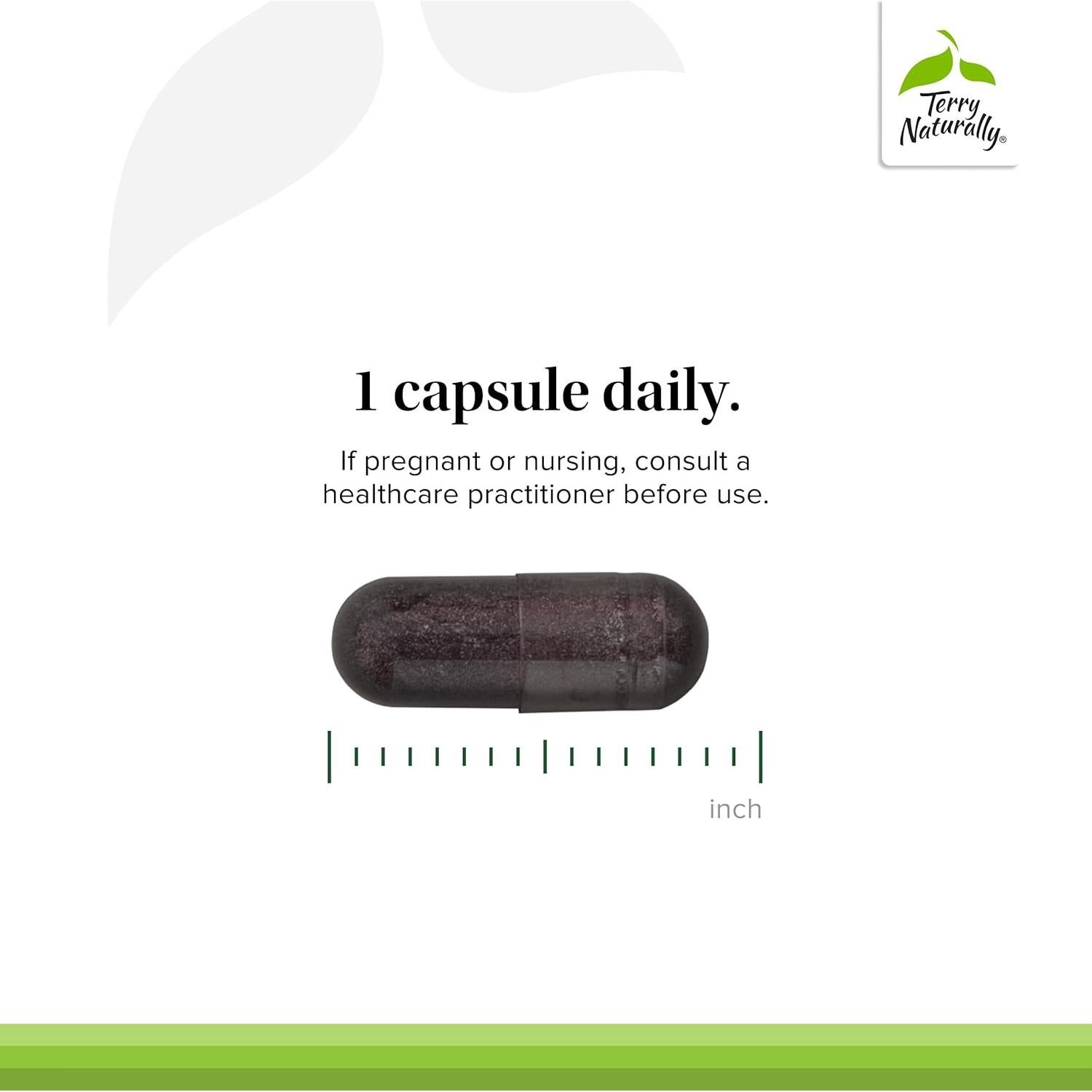 Terry Naturally Aronia Berry 300 - Suplemento Antioxidante Vegano - 30 Cápsulas