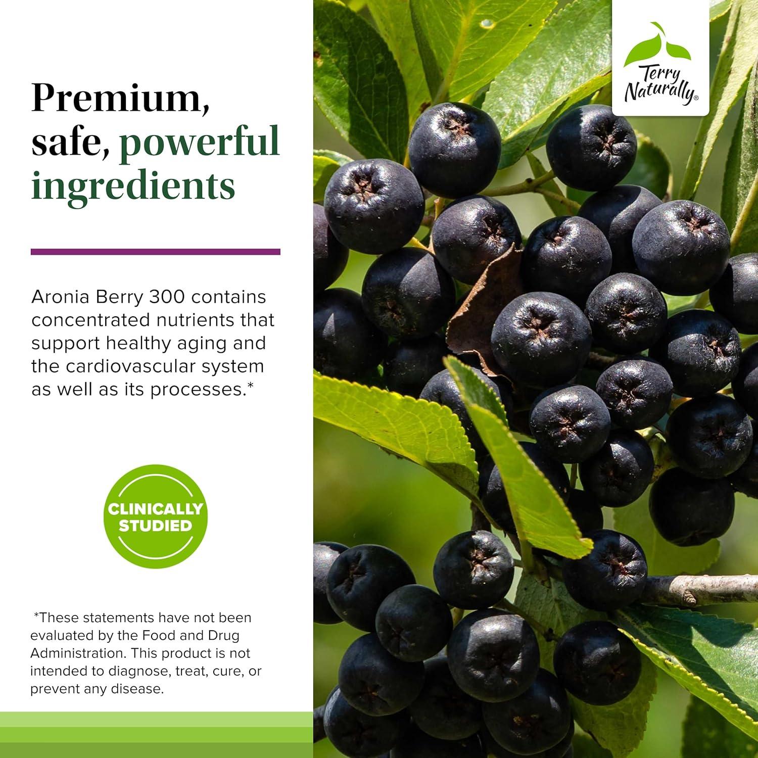 Terry Naturally Aronia Berry 300 - Suplemento Antioxidante Vegano - 30 Cápsulas