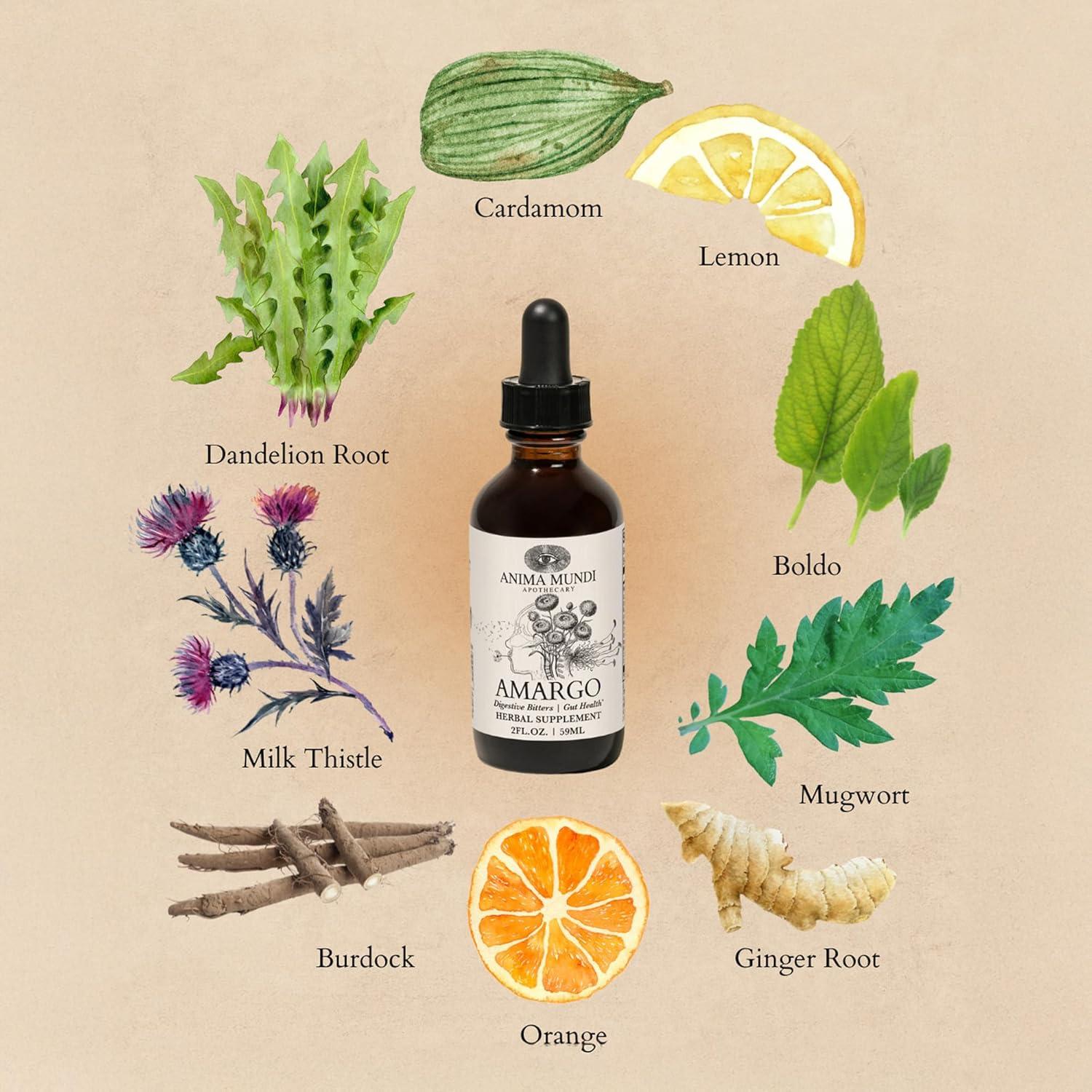 Tónico Digestivo Herbal Anima Mundi 60ml - Limpieza Hepática