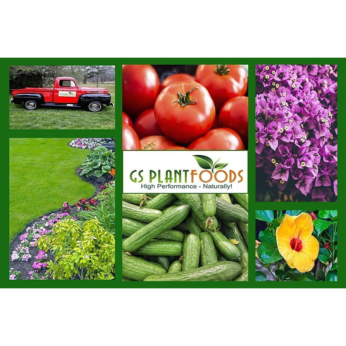 Fertilizante Orgánico GS Plant Foods Root Ruckus 18.93L