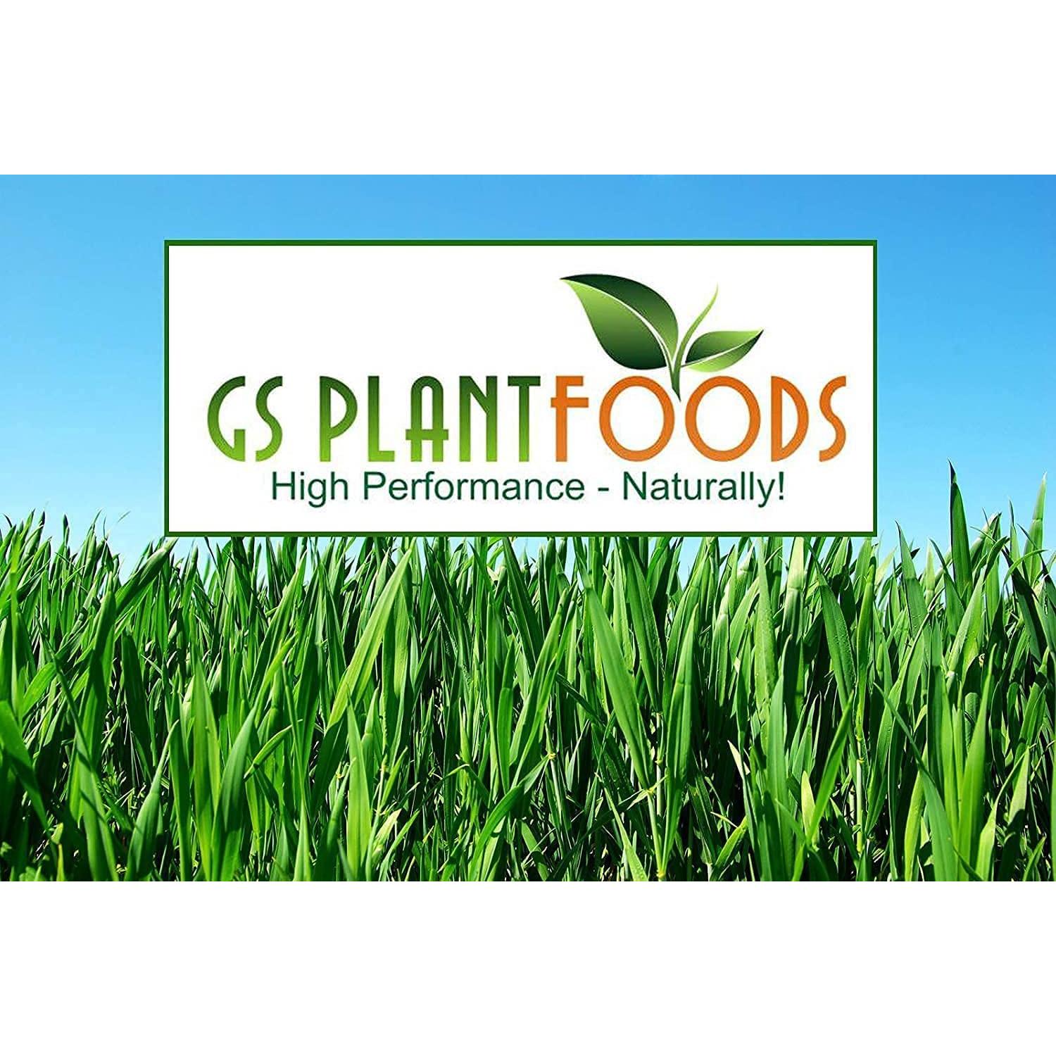 Fertilizante Orgánico GS Plant Foods Root Ruckus 18.93L