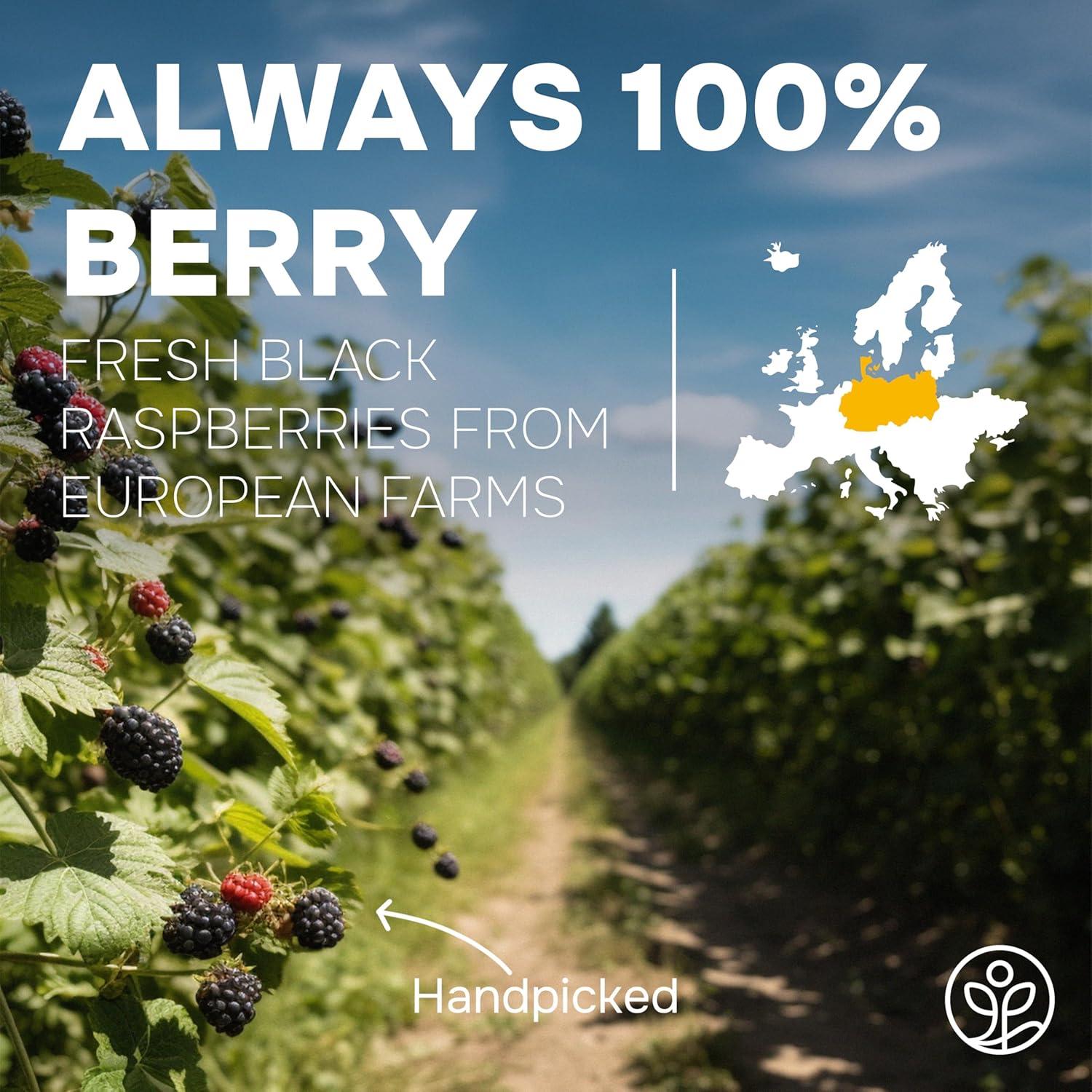 Polvo de Frambuesa Negra Jungle Powders 141.75g Liofilizado