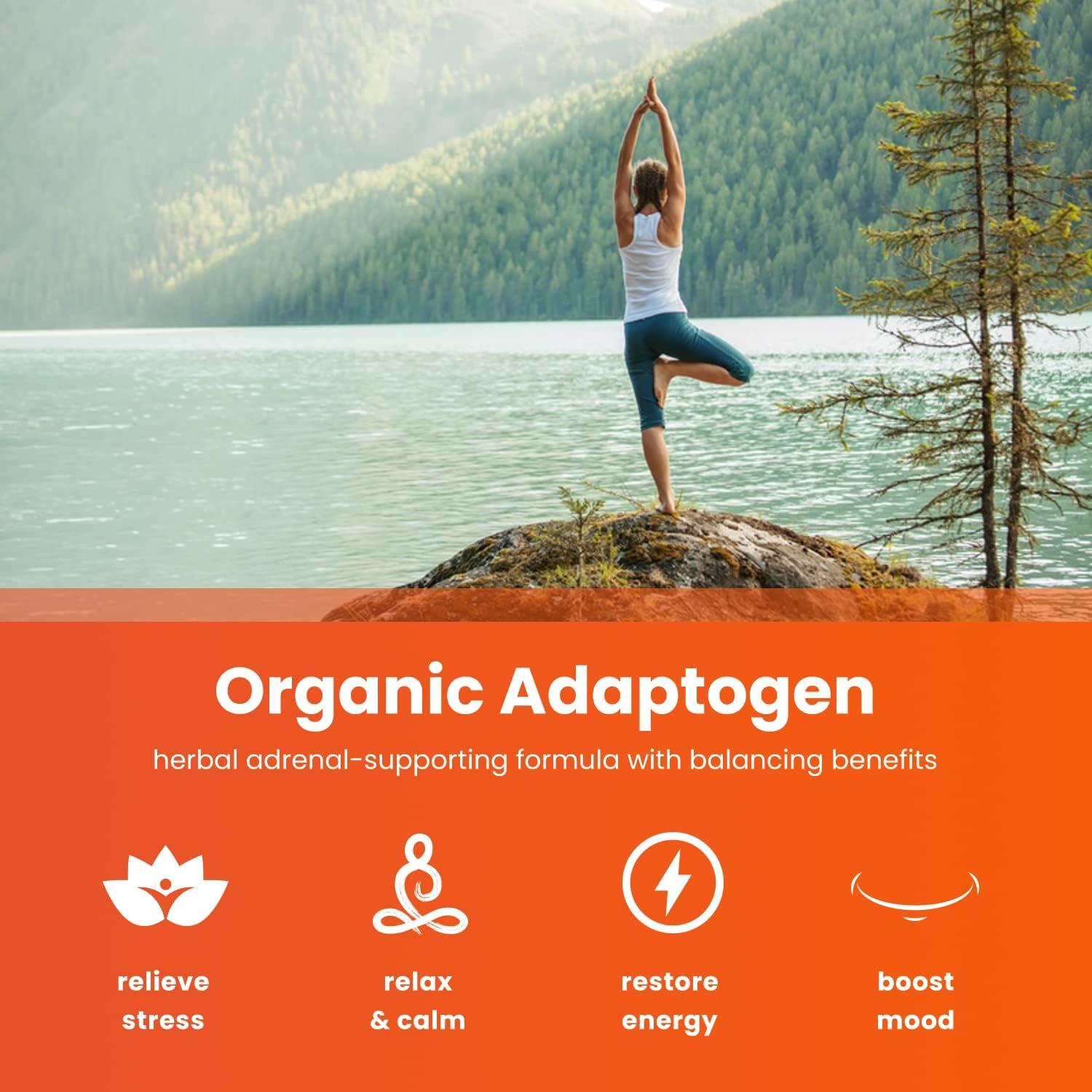 Paquete de Suplementos NutraChamps: Maca 2100mg + Ashwagandha 2000mg